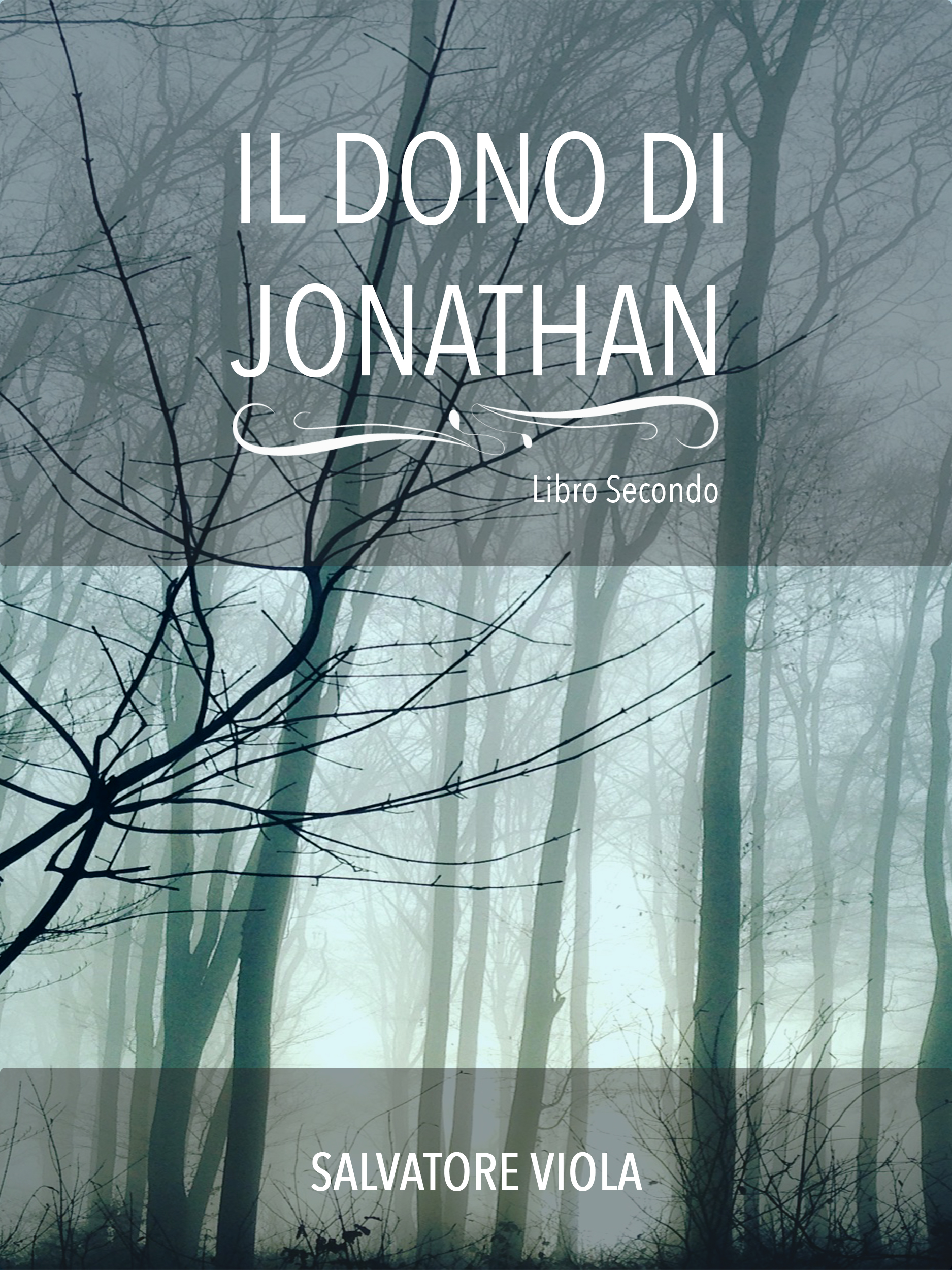 IL Dono Di Jonathan